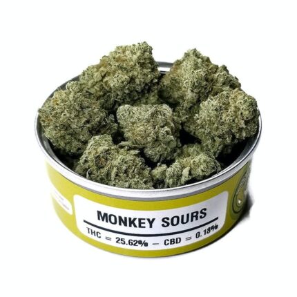 Sour Monkey Strain
