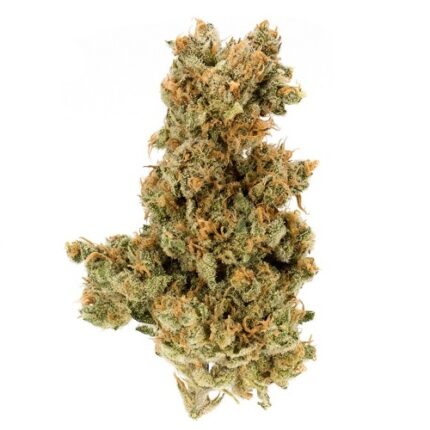AK-47 strain