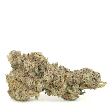 Marijuana for professional use in the UK