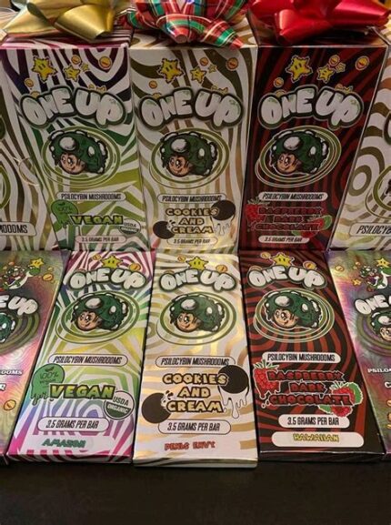 Mushroom chocolate bars