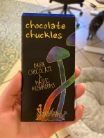 Mushroom Bars for professional use in the UK