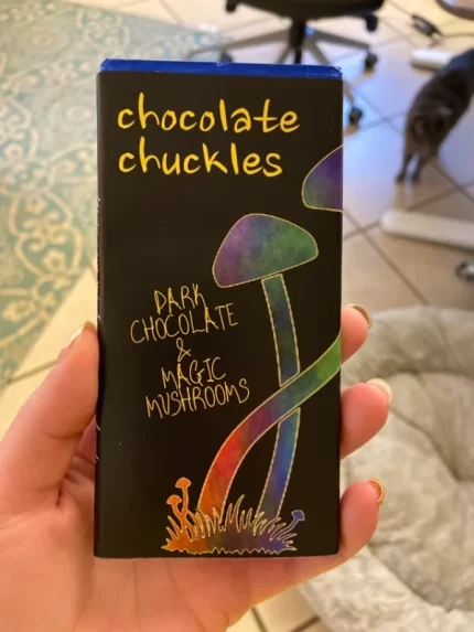 Mushroom Bars for professional use in the UK