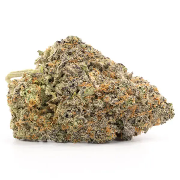 Blue-Dream-600x600-1.jpg.webp