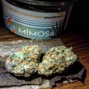 mimosa-1.jpeg
